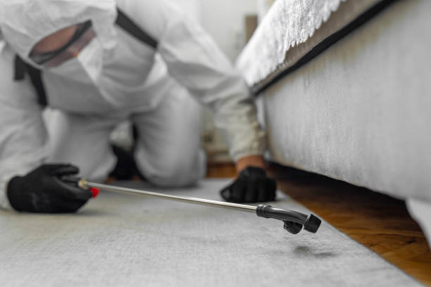 Professional Cockroach Control technician working in West Hamburg, PA