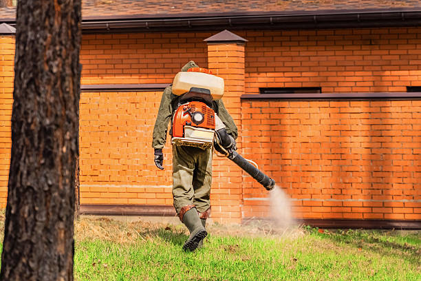 Trusted Bed Bug Control service in West Hamburg, PA - Nex Pest Control